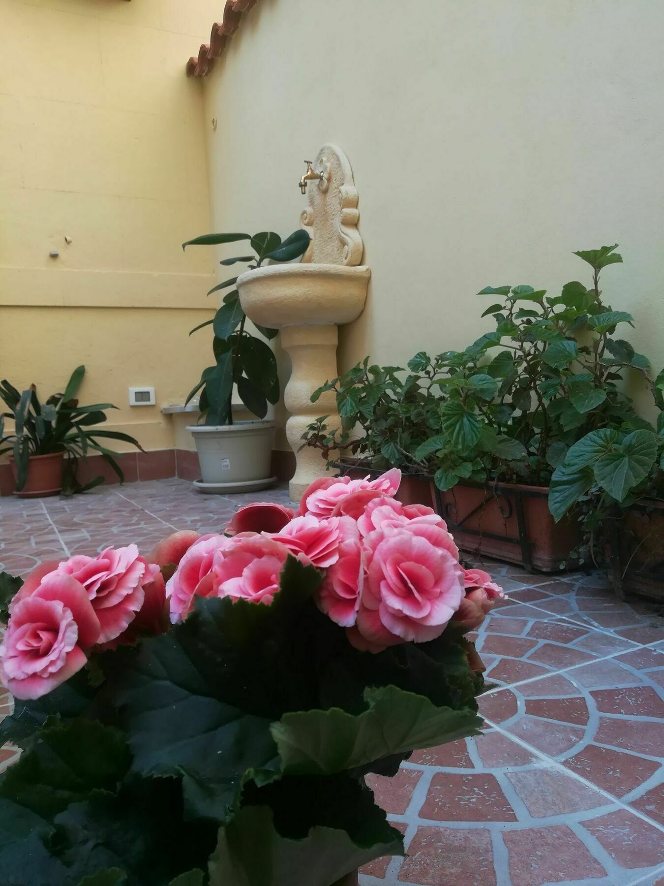 Le Rose Del Viale Hotel Palermo Buitenkant foto